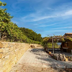 Casetta Mari Immersa In Un Vigneto Dolceacqua